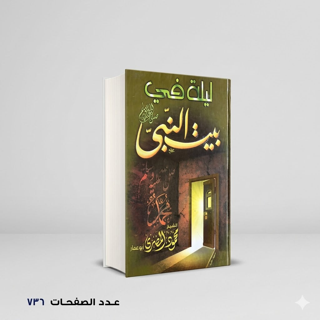 ليلة في بيت النبي محمود المصري