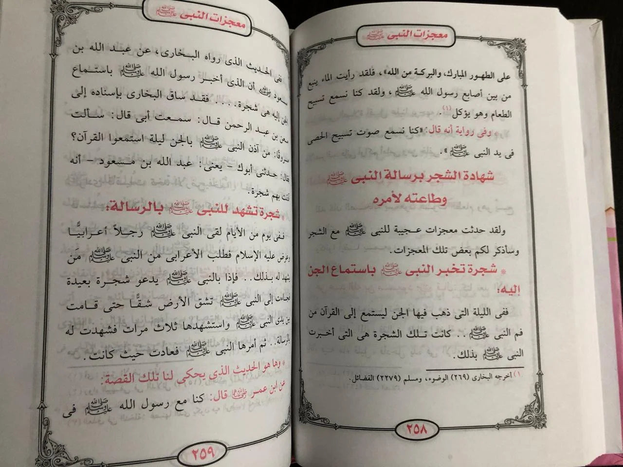 معجزات الأنبياء وكرامات الصحابة محمود المصري