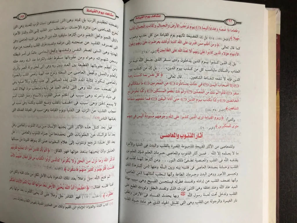 مشاهد يوم القيامة محمود المصري