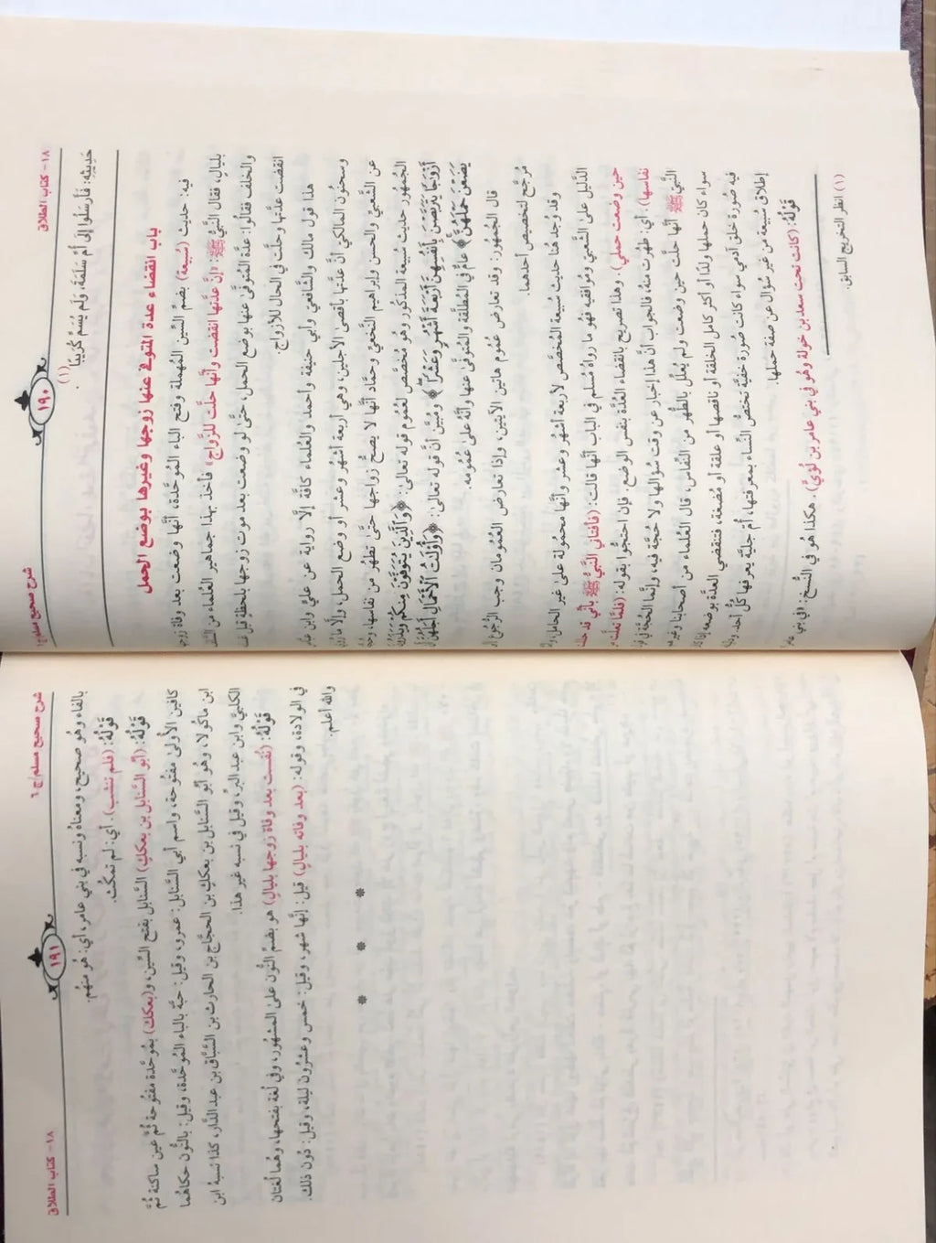 شرح صحيح مسلم للامام النووي