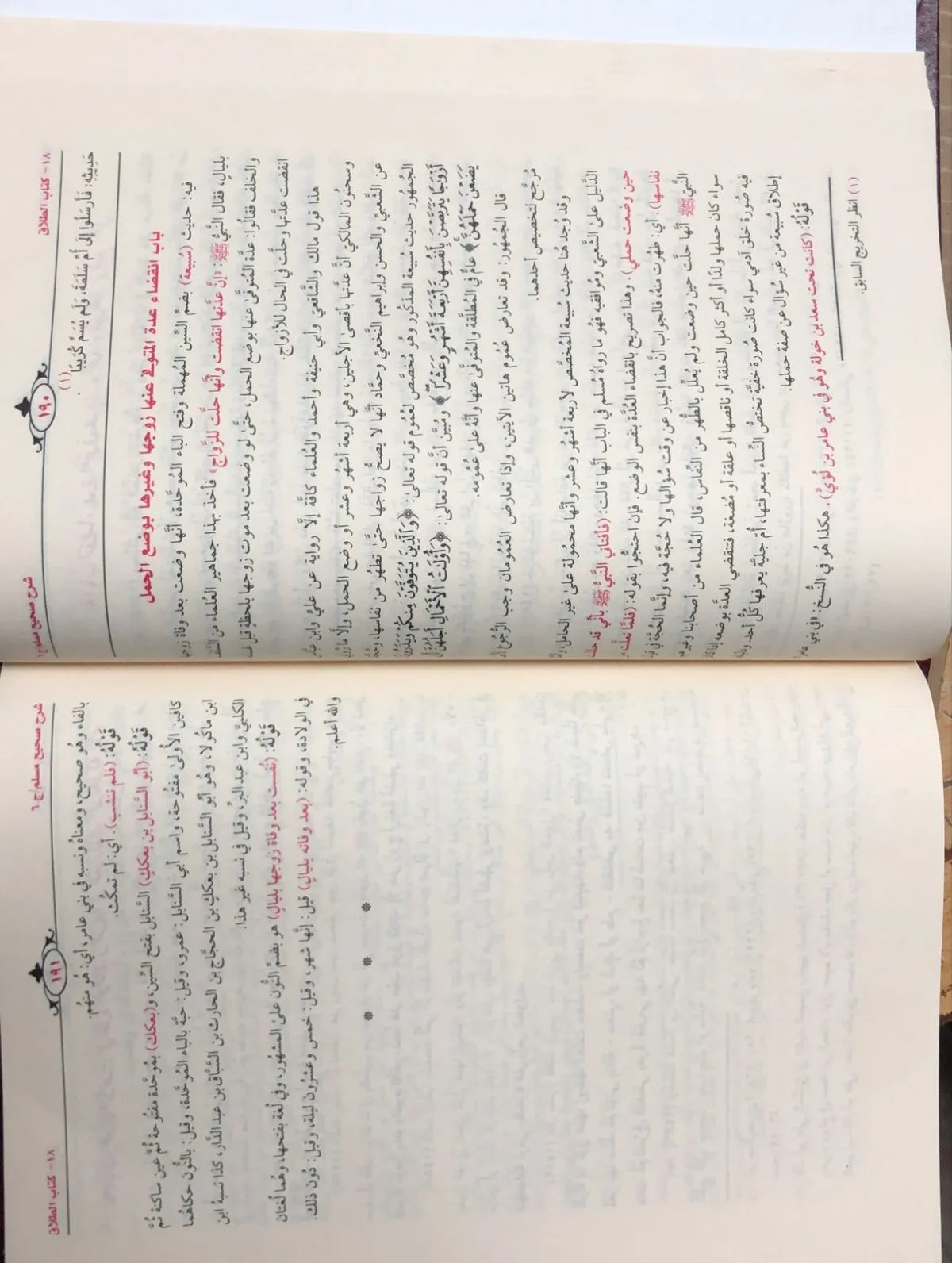 شرح صحيح مسلم للامام النووي