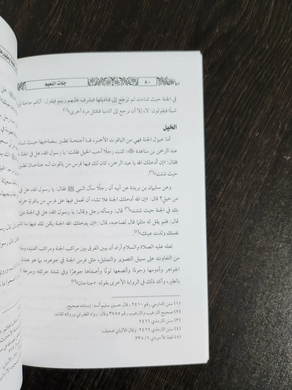 جنات النعيم ابو الفتوح صبري