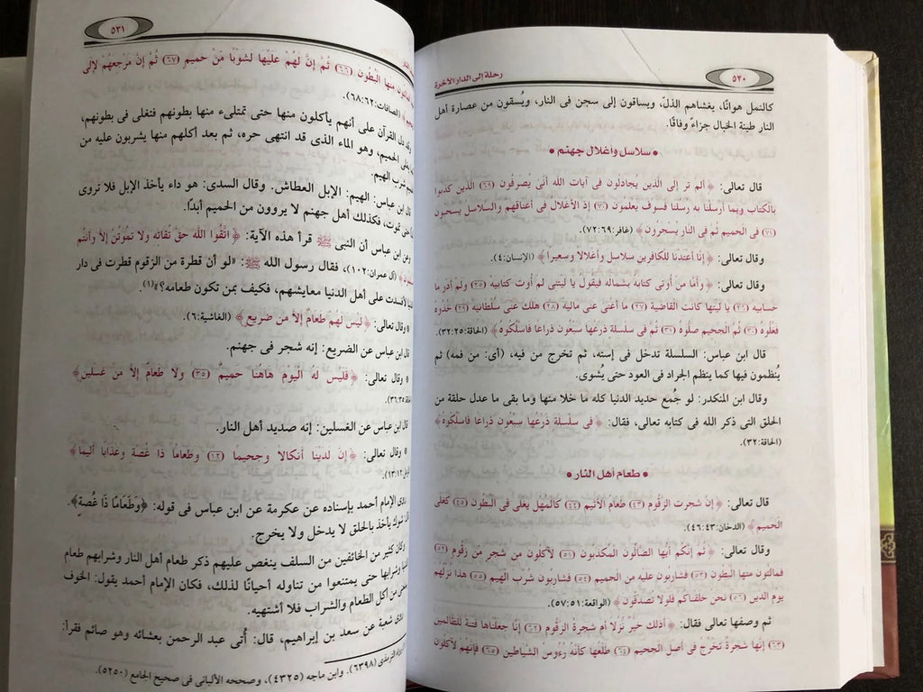 رحلة الى الدار الآخرة محمود المصري