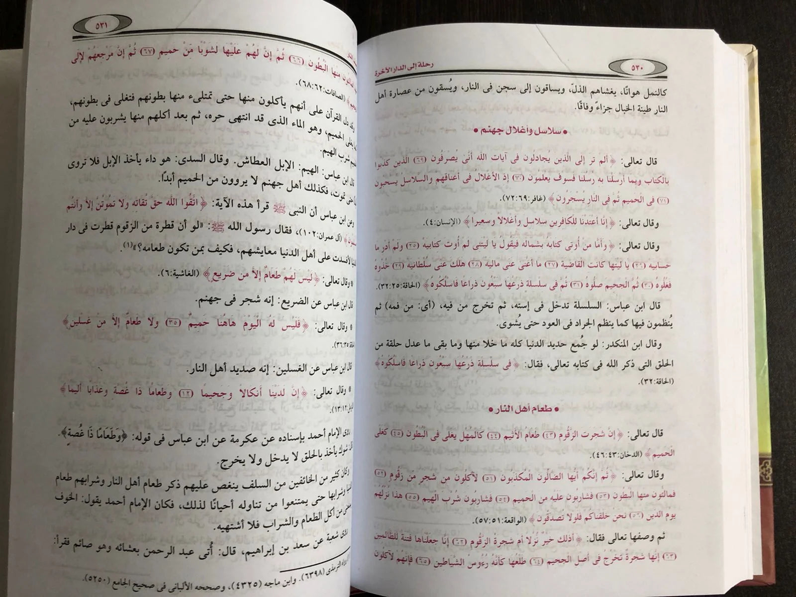 رحلة الى الدار الآخرة محمود المصري