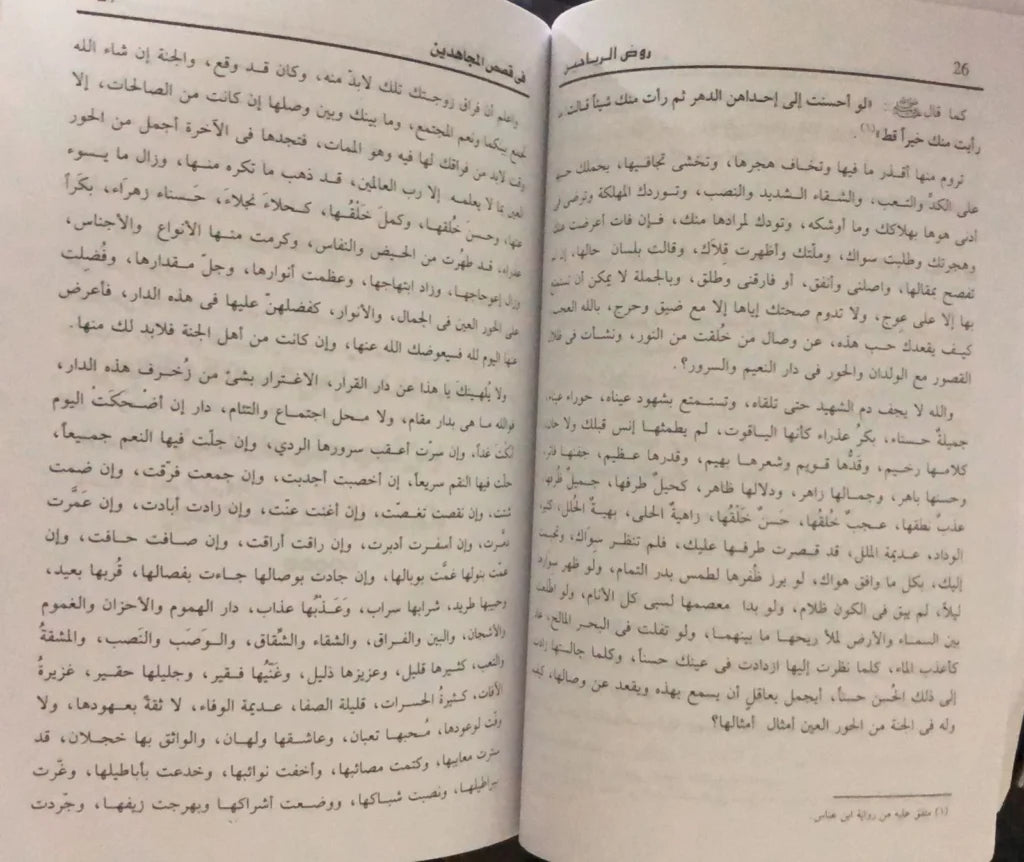 روض الرياحين في قصص المجاهدين حلمي بن اسماعيل