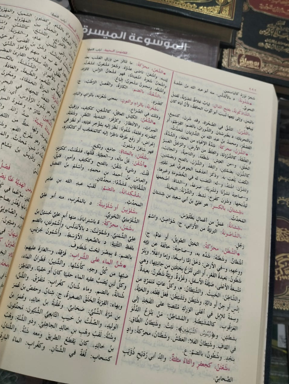 القاموس المحيط