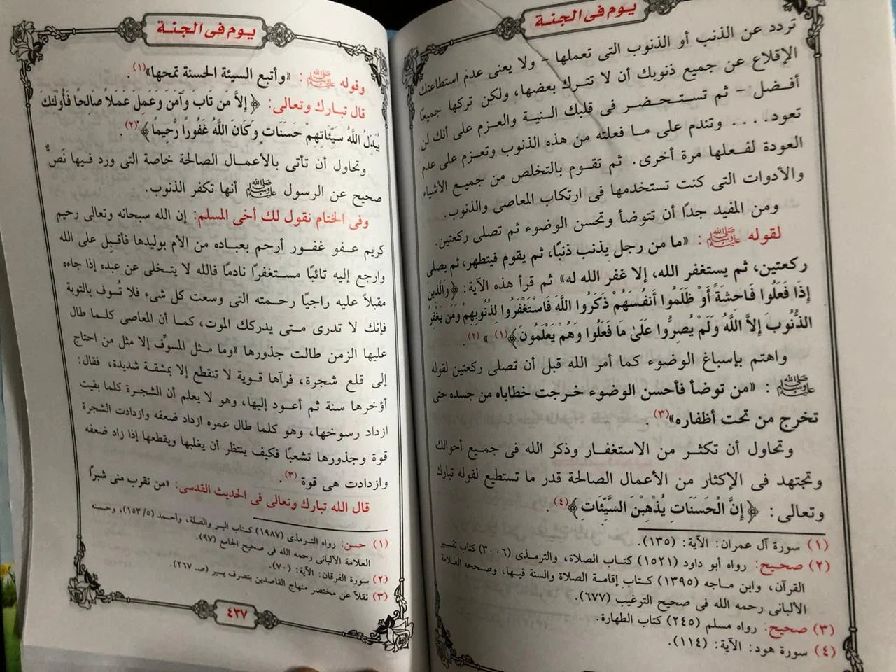 يوم في الجنة محمود المصري