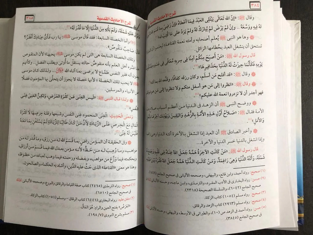 شرح الأحاديث القدسية محمود المصري