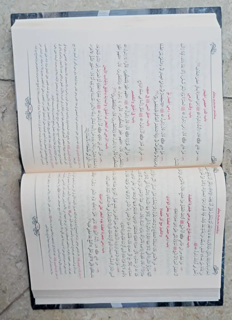 مختصر صحيح مسلم زكي الدين المنذري